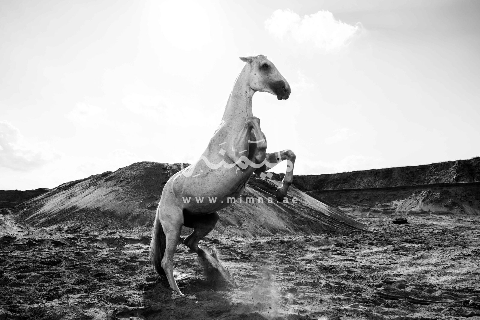 هور العنز,أنشطة سياحية في هور العنز,دليل,الميمنة, استكشاف هور العنز دبي: دليل متكامل للمنطقة | الميمنة للوساطة العقارية, Al Maymana Real Estate