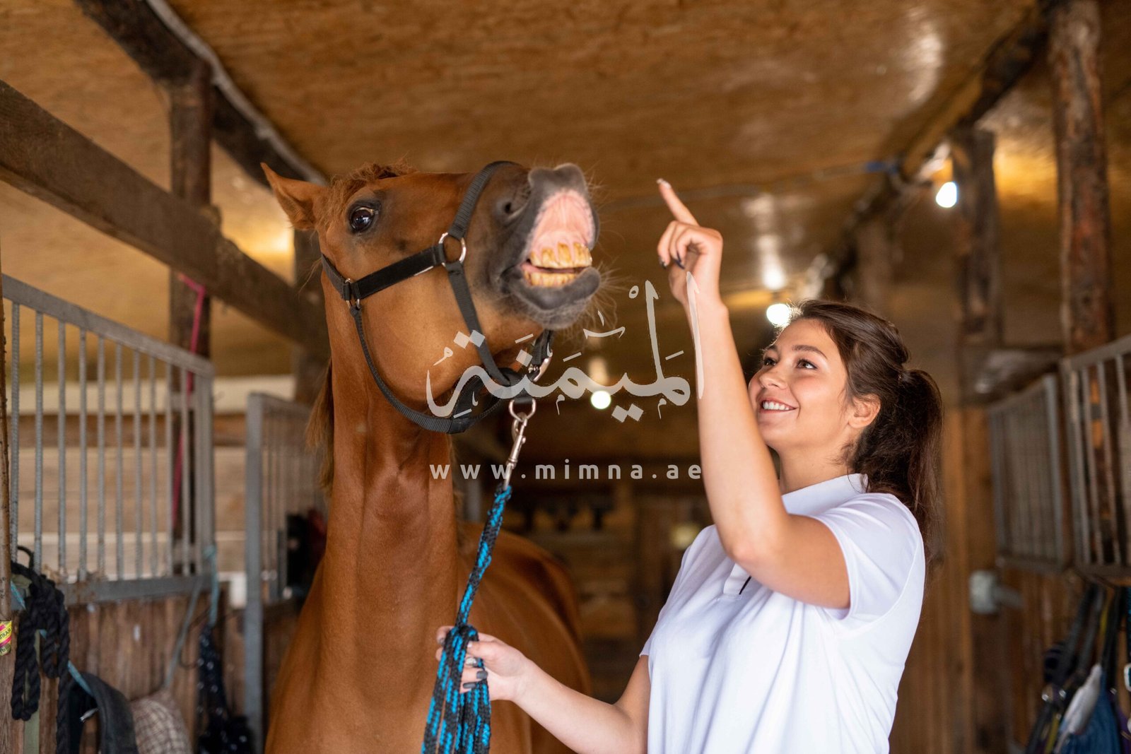 مزارع الخوانيج دبي مزارع الخوانيج دبي