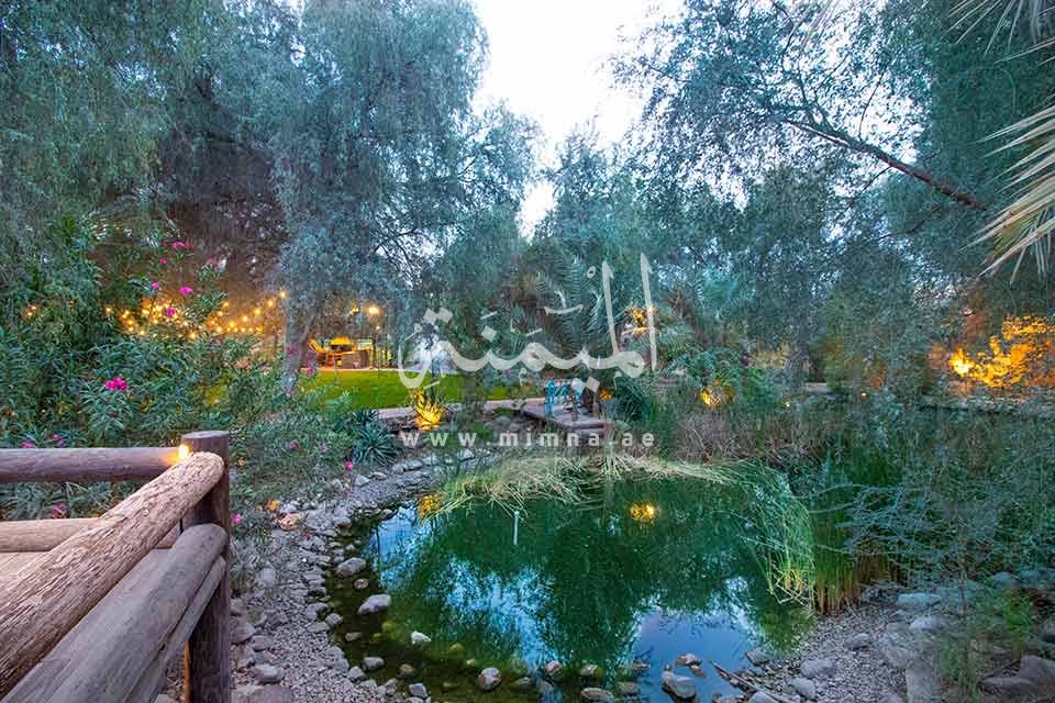 بحيرة صناعية داخل مزرعة للبيع في وادي العمردي دبي محاطة بالاشجار