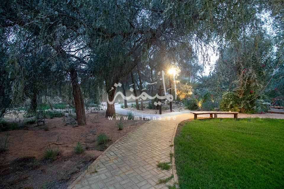 مزرعة للبيع في وادي العمردي مناسبة للسكن او للاستثمار